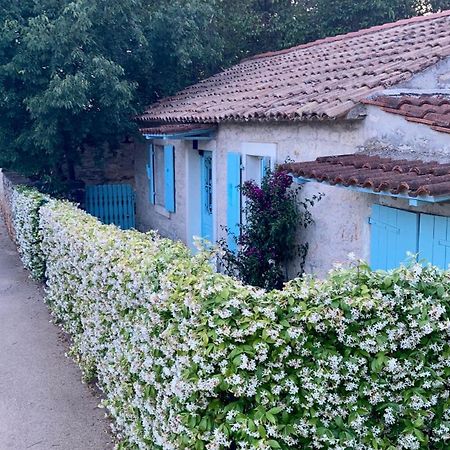 Vila Majda Тар Экстерьер фото